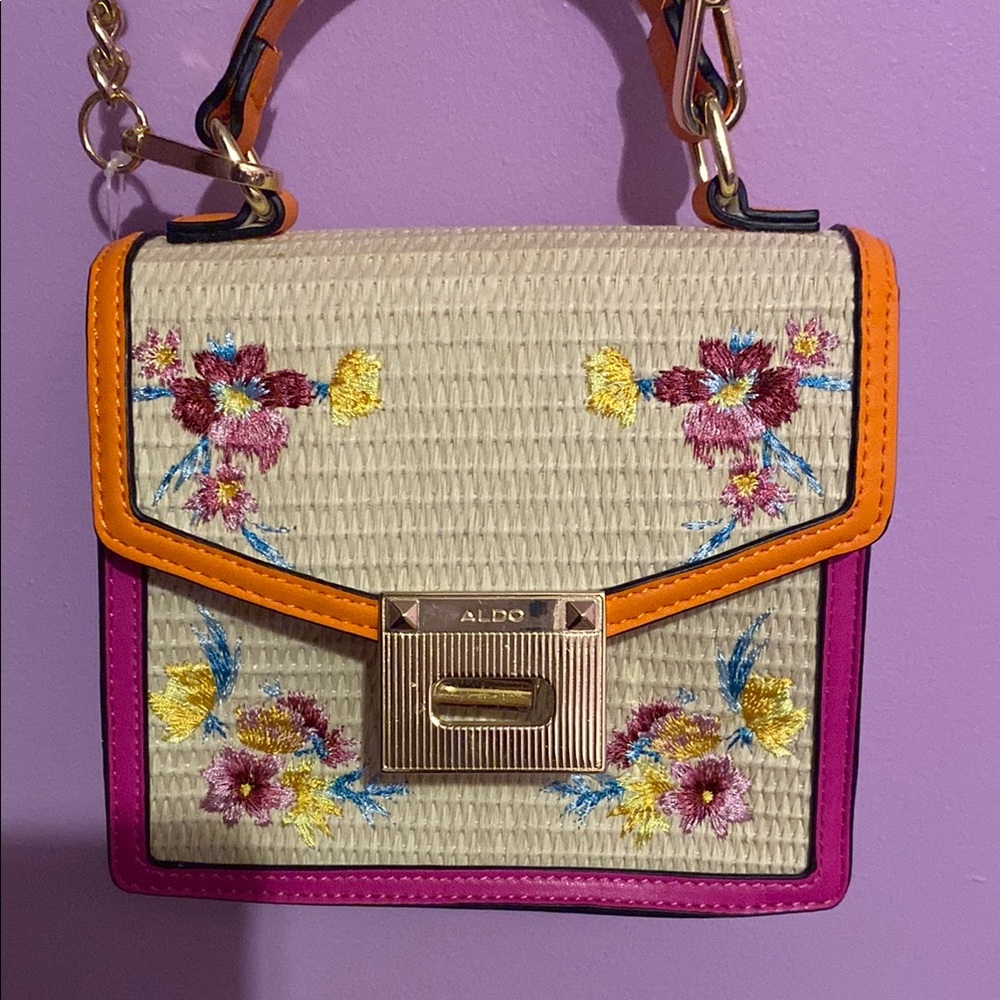 Aldo Multicolor Floral Embroidered Women's Bag